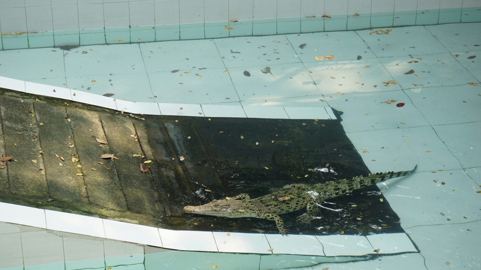 Before/after images of damaged satellite versus intact satellite