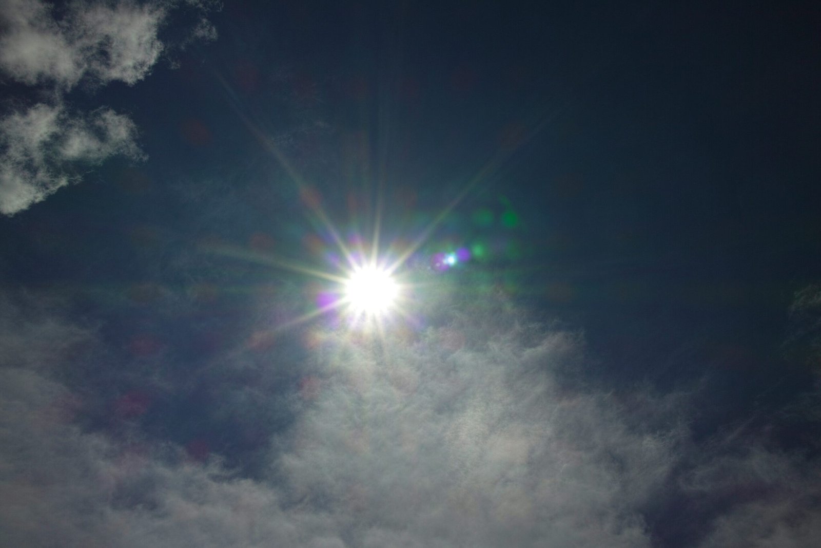 A team training session focused on emergency response protocols