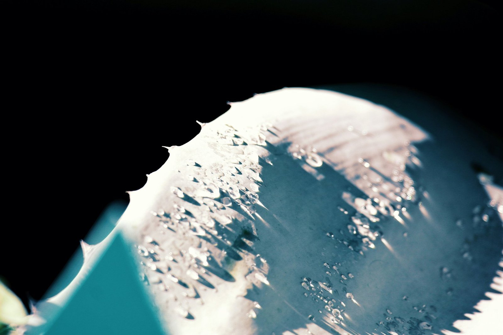 Satellite Decommissioning: The Hidden Cost of Space Exploration and How Insurance Fits In