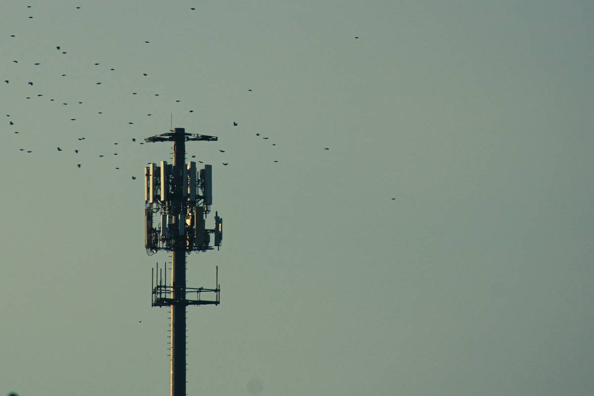 How to Master Satellite Signal Interruption Coverage for Hassle-Free Insurance